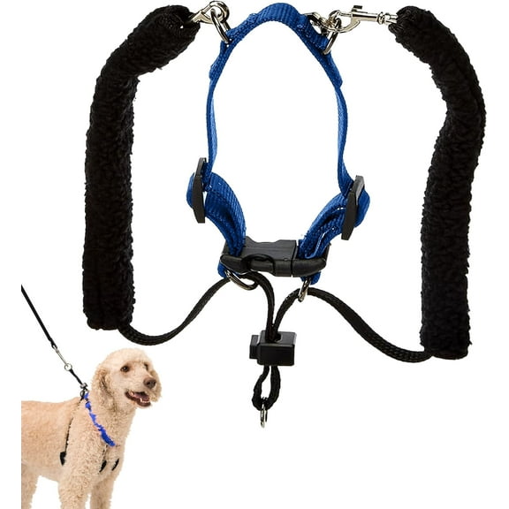 Sporn Training Dog Halter, Blue, Large (16-24" Neck Size)