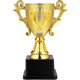 thumbnail image 1 of Gold Award Trophy for Kids Mini Winner Cup for Games, Personal Student Gift, 1 of 2