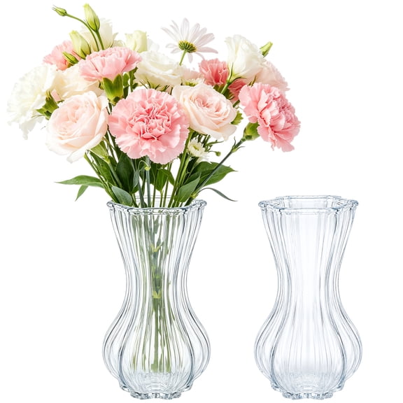 2 Pcs Vases for Flowers, 7.7 x 3.5 in Clear Glass Vases with Ribbed Texture, Decorative Conical Flower Containers for Modern Home Decor, Living Room Table Centerpieces