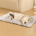 thumbnail image 5 of JGJJUGN Pet Bed Mat for Winter Warmth, Washable and Removable Cover, Soft Cotton Filling, Non-Slip Bottom, 40x50 cm, Ideal for Small to Medium Pets, 5 of 6