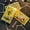 Gold black plain, variant on Terrific Gold Plastic Tarot Cards Marvellous Predictive Divination Board Games Waterproof Astrology Oracle Deck With Booklet
