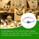 thumbnail image 3 of Guardurnaity Sea Turtle Bracelet Exquisite Elastic Agate Gifts Buddha Natural Accessory Best Friendship Beads Stone Fashion Friend Bracelets Type7 NO7, 3 of 6