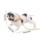thumbnail image 3 of Escultura de resina para perro de coche | Figura realista de perro social tallada a mano con ventosa fuerte | Decoración duradera para el interior del coche, ideal para salpicadero o vitrina., 3 of 5