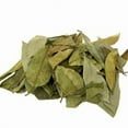 thumbnail image 4 of Guanábana Hojas Secas Te (Graviola/Dried Soursop Leaves Tea)4 oz Bag – 100% Natural, Vegan Herbal Tea – Includes Infuser/Incluye Infusor, Traditional Latin Delicioso & Saludable– by Bexpertsusa, 4 of 9