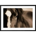 thumbnail image 2 of Art.com Dark Eyes Photographic Print by Lisa Dearing, Black Frame Wall Art, 29" x 21", 2 of 5
