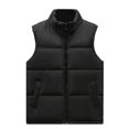 thumbnail image 3 of Dagegui Men's Sleeveless Stand Collar Vest Fall Outerwear Quilted Vests Casual Color Block Winter Warm Jacket Black XXL, 3 of 7
