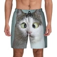 thumbnail image 2 of Picia Funny Cat pattern Mens Swim Trunks with Compression Liner Stretch Beach Shorts Quick Dry with Zipper Pockets No-Chafing Board Shorts-X-Large, 2 of 9
