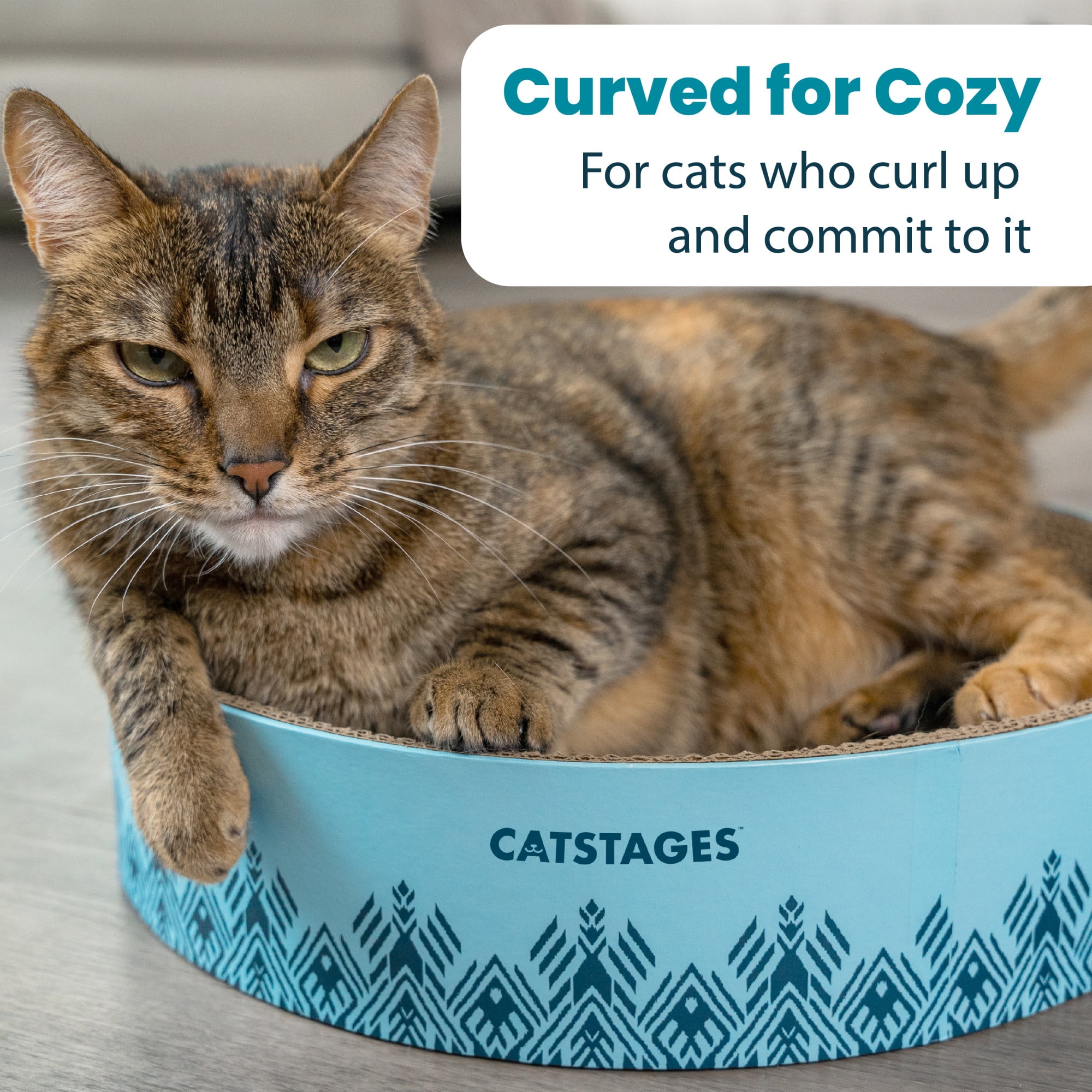 (3 pack) Catstages Scratch & Snuggle Cat Scratcher Bowl Blue