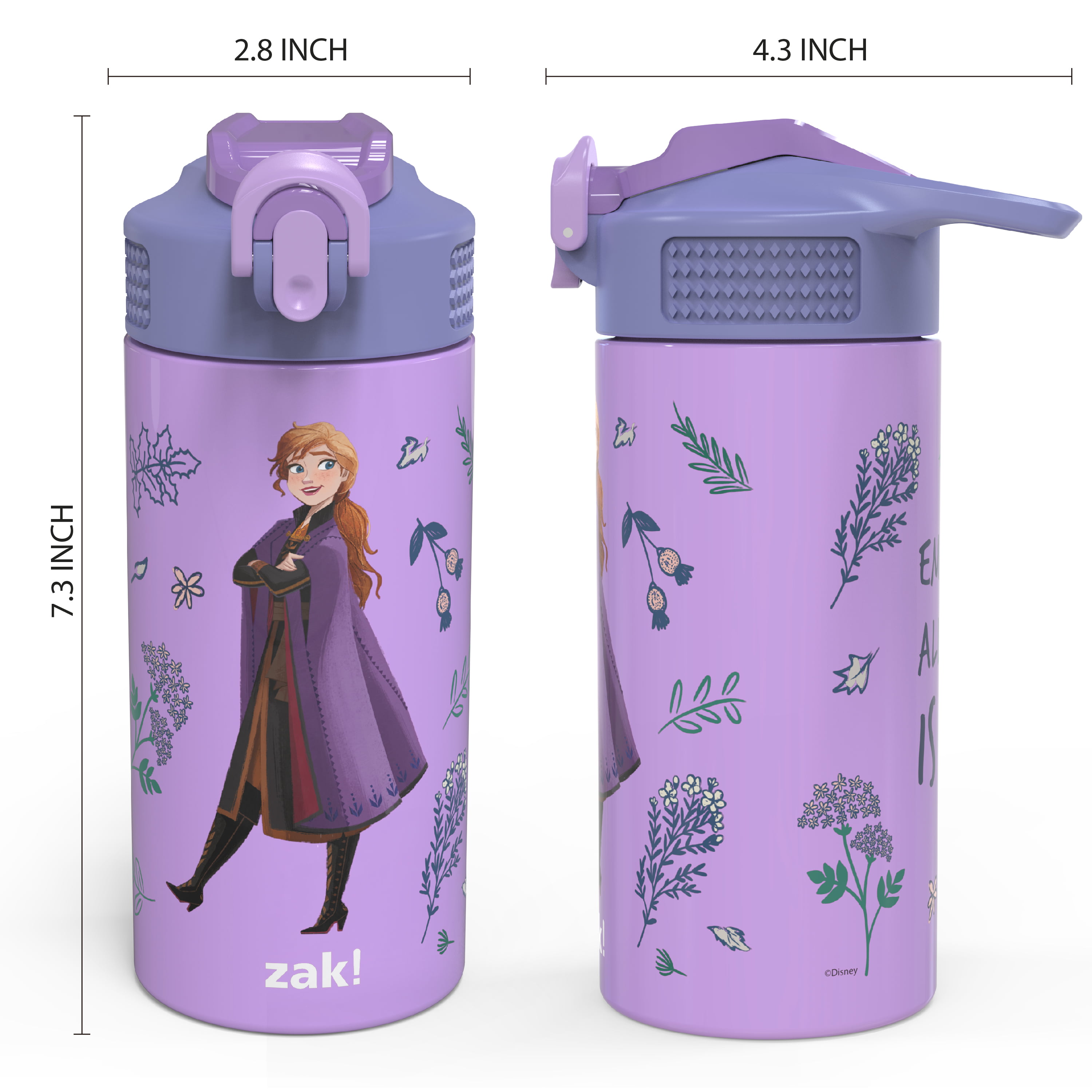 Zak Designs 14 oz Kids Water Bottle Stainless Steel Vacuum Insulated for  Cold Drinks Indoor Outdoor Disney Minnie Mouse