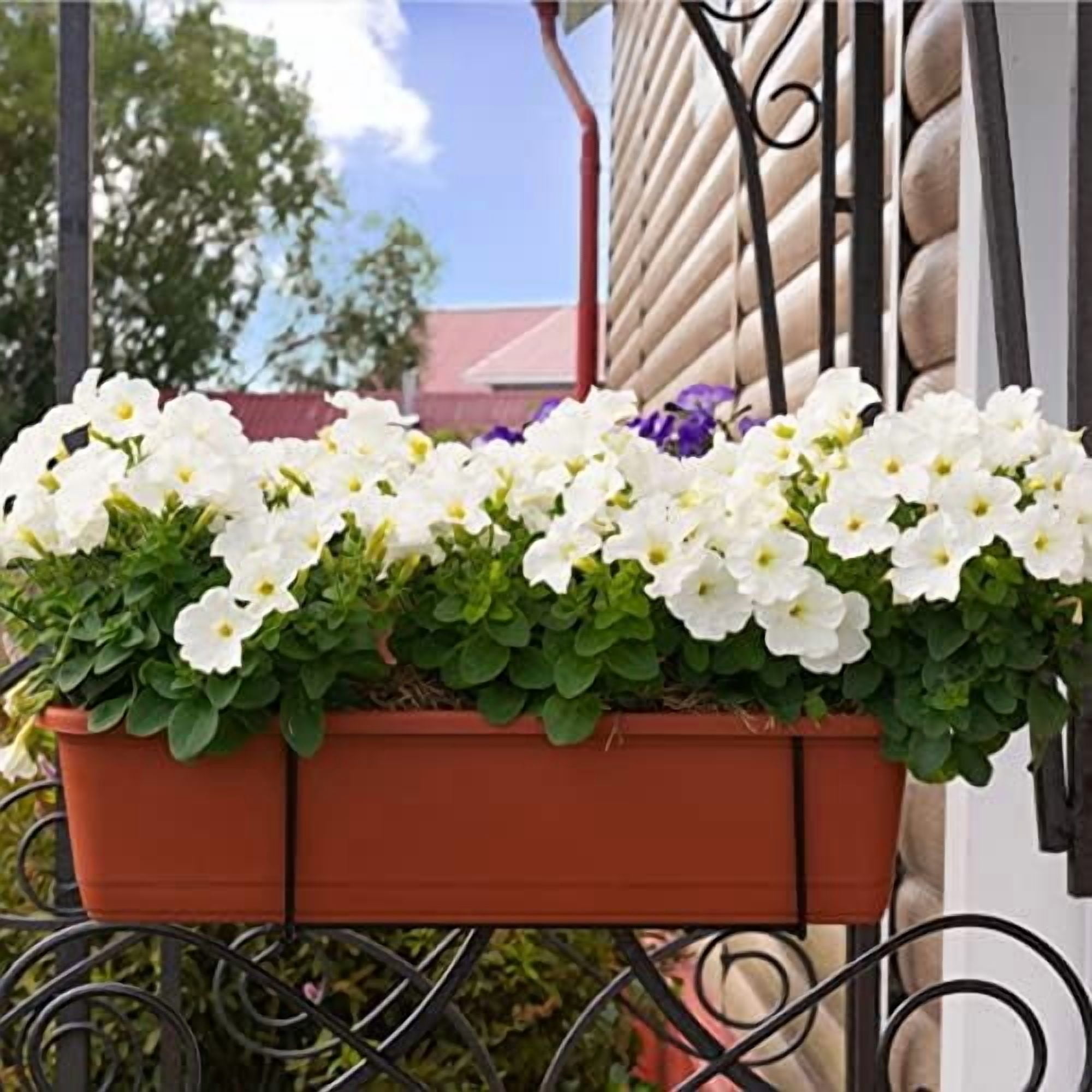 RibRave Window Box Planter, 6 Pack 17inch Plastic Vegetable Flower Planter Boxes with Tray, Indoor Outdoor Flower Pots for Windowsill, Patio, Porch, Garden Balcony, Dark Gray