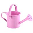 thumbnail image 1 of Garden Small Water Spraying Pot Flower Kettle Metal Watering Can Sprinkled, 1 of 1