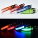 thumbnail image 2 of Collar para perros recargable e impermeable con luz LED intermitente y correa ajustable para perros pequeños, medianos y grandes (rojo, L)., 2 of 5