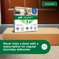 Advantage II Flea Prevention for XL Dogs 55 lbs+, 4