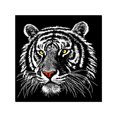 thumbnail image 2 of Kits de pintura de diamantes de animales coloridos, decoración de pared de diamantes de imitación, bordado, punto de cruz, artesanía Sweethay HA6278-05B, 2 of 6