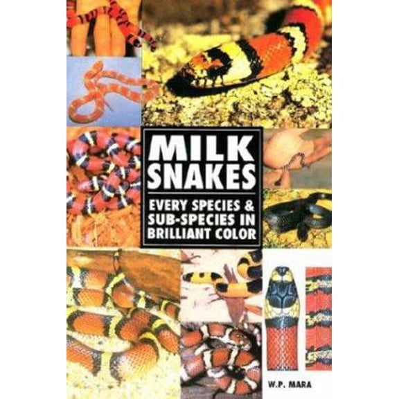 Pre-Owned Milk Snakes (Paperback) 0793802504 9780793802500