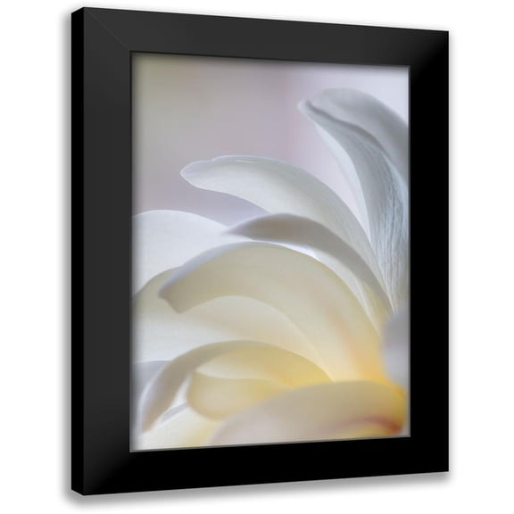 Mahan, Kathy 11x14 Black Modern Framed Museum Art Print Titled - White Magnolia
