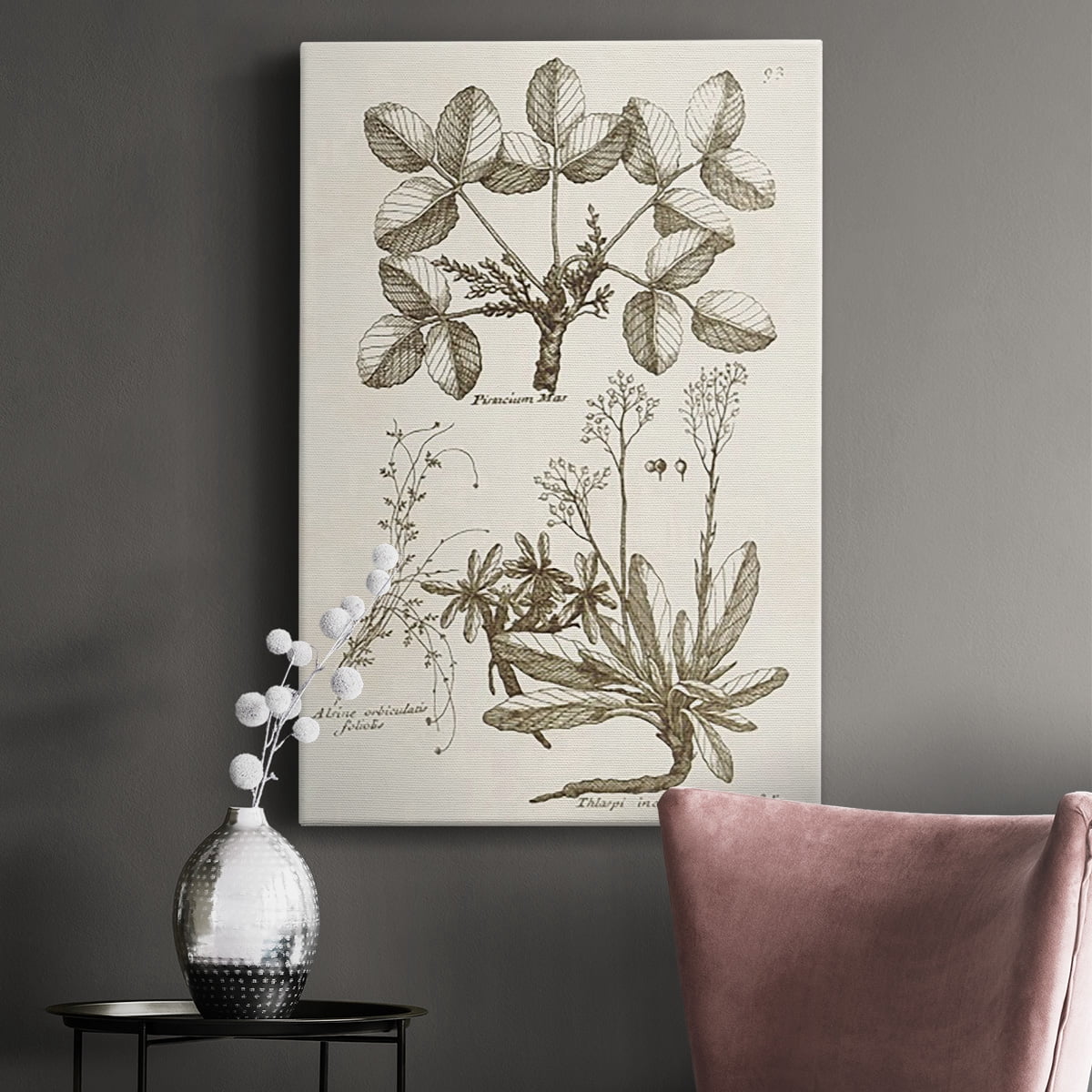 Sepia Botanical Journal VI Premium Gallery Wrapped Canvas - Ready to Hang