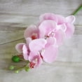 thumbnail image 4 of D-GROEE 2Pcs Artificial Phalaenopsis Flowers Branches Real Touch Orchids Flowers for Home Office Wedding Decoration, 4 of 7