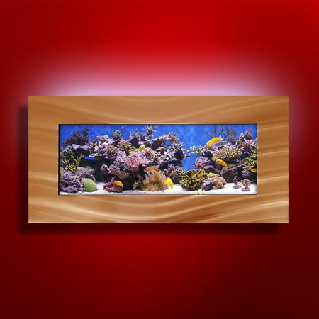 Aussie Aquariums 2.0 Wall Mounted Aquarium - (Best Fish For Small Tank)