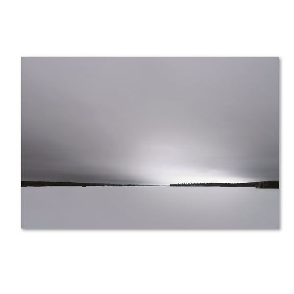 Trademark Fine Art 'Neutral Gray Finnish' Canvas Art by Philippe Sainte-Laudy