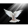 thumbnail image 2 of Art.com A Free Flying White Dove Isolated On A Black Background Stretched Canvas Print Wall Art by Irochka, 24" x 18", 2 of 4