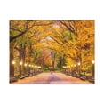 thumbnail image 2 of Orange Tree Autumn Park Nature Wilderness Photography Canvas Wall Art for Home Decor Ready-to-Hang, 2 of 18
