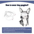 thumbnail image 5 of Gafas protectoras para perros, correas ajustables, fáciles de poner y anti-UV para perros pequeños., 5 of 5
