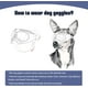 thumbnail image 5 of Gafas protectoras para perros, correas ajustables, fáciles de poner y anti-UV para perros pequeños., 5 of 5