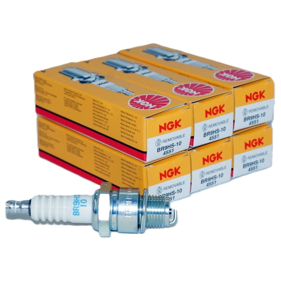 Pack of 6 Genuine NGK 4551 Spark Plugs BR9HS10 Mercury/Yamaha Marine Outboard