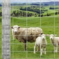 thumbnail image 4 of Riedhoff Cattle Fence Panels 4 ft x 328 ft, Galvanized Wire Fencing, Silver, 4 of 7
