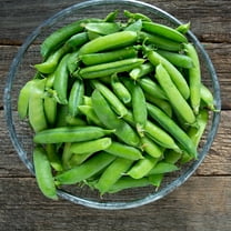 Snap Pea Seeds - Edible Pod - Cascadia - 4 Oz ~500 Seeds - Pisum sativum - Farm & Garden Vegetable Seeds - Non-GMO, Heirloom, Open Pollinated, Annual