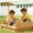 Green+Natural&Light Brown+White+Fabric+Polyester+Wood, variant on LHSHID Kid-Safe Outdoor Interactive Play Natural Wooden Sand Box, Smooth Light Wood Finish