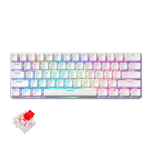 GAMINJA 60% Gaming Keyboard, 61 Keys Hot Swappable Mechanical Keyboard with 17 RGB Backlight Modes, 21 Keys Anti-Ghosting Compact Mini Keyboard for Windows Mac PC Gamers