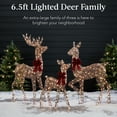 thumbnail image 3 of Best Choice Products 6.5ft 3-Piece Lighted Christmas Deer Set Outdoor Yard Decoration w/ 385 LED Lights, Stakes - Rattan, 3 of 8