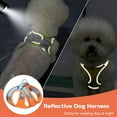 thumbnail image 4 of Soft Small Dog Harness and Leash Set Mesh Puppy Harnesses Leash Easy Walk Dog Harness Vest Adjustable Reflective No Pull Dog Harnesses for Small Dogs Cats, 4 of 7