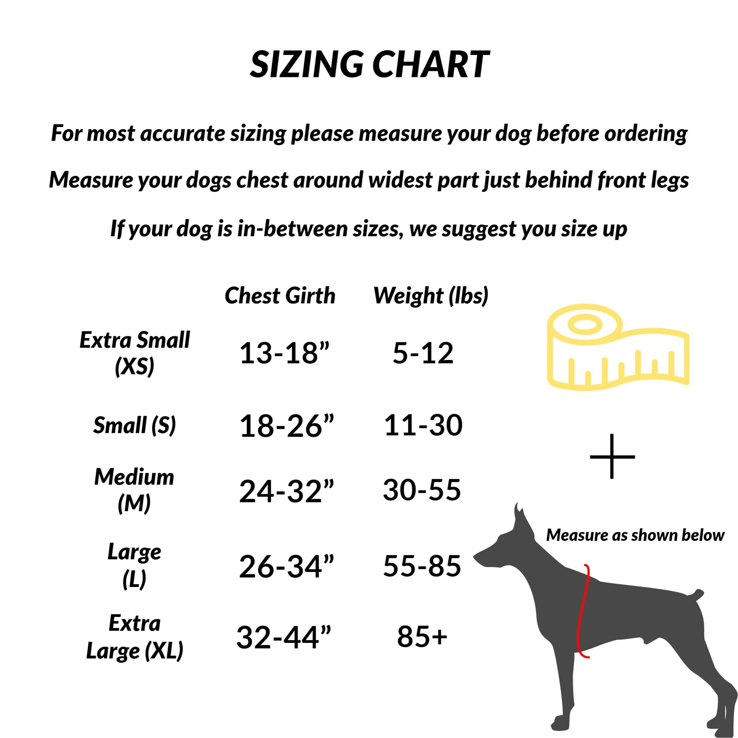 Essential Dog Harness, No-Pull Pet Vest with 3 Leash Clips, No Choke, Reflective, Adjustable and Padded, for Easy Walking and Training for Small, Medium and Large Dogs (Oceanic Blue, Medium)