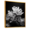 thumbnail image 2 of Designart "Monochrome Coral And Anemone Realm" Coastal Coral Under Water Floater Framed Canvas Art Print, 2 of 5