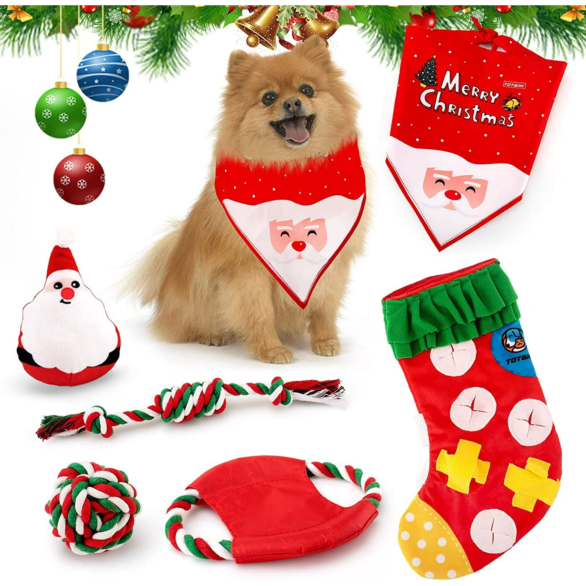 Why Does My Dog Take My Socks And Hide Them