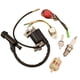 thumbnail image 4 of Ignition Coil Magneto For Honda GX200 GX120 GX110 GX140 GX160 GX340 GX390 Garden Power Tools Lawn Mower Parts, 4 of 4