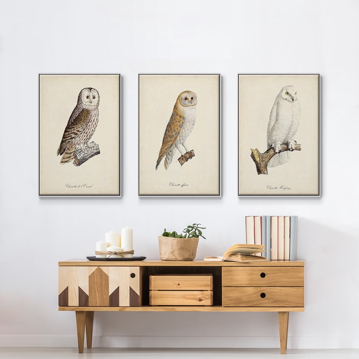 French Owls IV - Framed Premium Gallery Wrapped Canvas L Frame 3 Piece Set - Ready to Hang