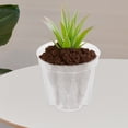 thumbnail image 4 of Homoyoyo Transparent Plastic Plant Pots for and Landscaping, 30 Pieces PP Containers, 4 of 5