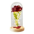 thumbnail image 3 of Cheapark Valentine's Day LED Night Light 3 Rose Glass Lampshade Ornament Battery Operated Soft Glow For Home Holiday Decor, 3 of 6