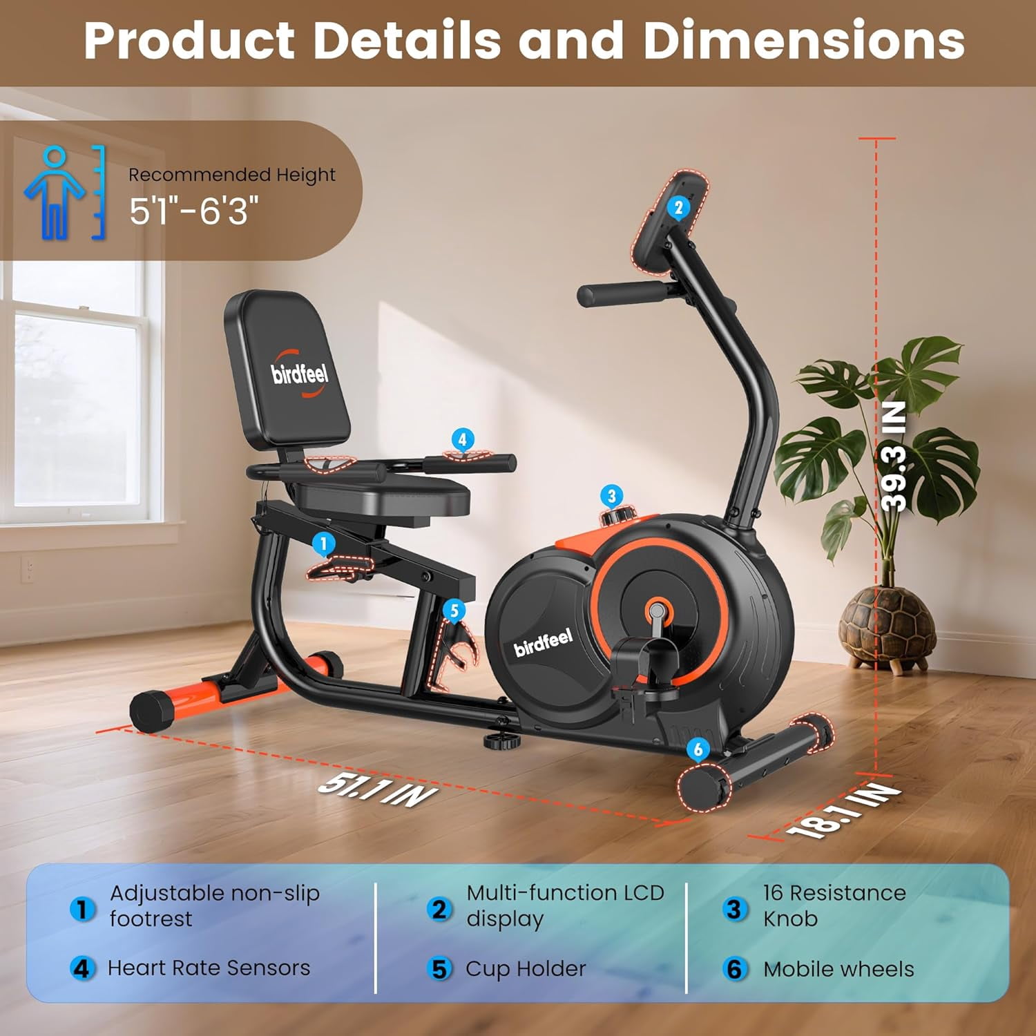 LNOW Recumbent Exercise Bike for Home Use,Quiet recumbent stationary bike for Adult Seniors,16 Magnetic Resistance, Adjustable Seat & Pulse Sensors