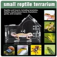 thumbnail image 5 of Magnetic Acrylic Jumping Spider Enclosure with Mushroom House, Easy-Feed Hole & Front Opening – Terrarium for Tarantula, Mantis, Beetle, Gecko, Hermit Crab, Reptile Habitat, 5 of 6