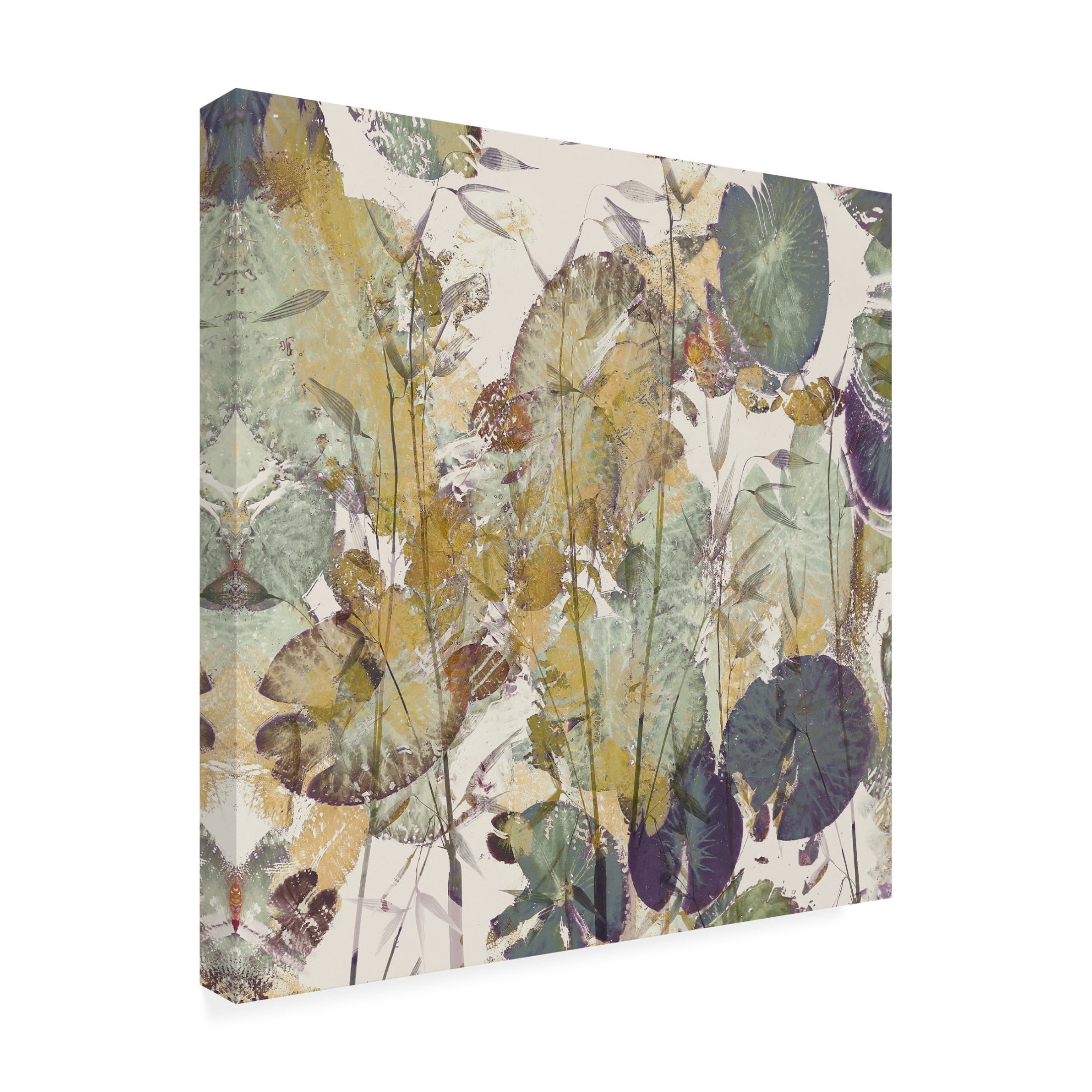 Trademark Fine Art Nel Talen Lily impression Canvas Wall Art