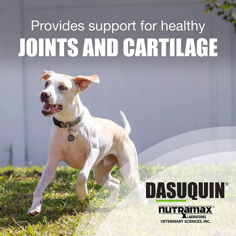 Dasuquin for dogs walmart hot sale