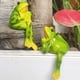 thumbnail image 4 of Adornos de rana de resina | Decoración de escritorio y jardín | Figuras originales para macetas, balcones y decoración del hogar, 4 of 6