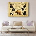 thumbnail image 4 of Bears Wall Art Knowledge Poster Educational Wall Art Vintage Prints South Bears Infographic Posters for Bathroom Decorations Printing Pictures Decorative Canvas Unframed 20x30 in, 4 of 5