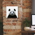 thumbnail image 5 of Epic Graffiti 'Bamboo Bear' by Epic Portfolio Giclee Canvas Wall Art, 12"x12", 5 of 8
