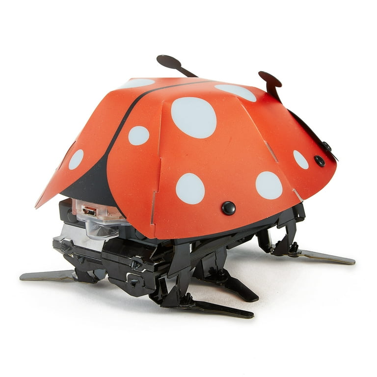 Kamigami Lina Ladybug Build Program Play Engineering STEM Robot
